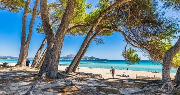 Naty Apartaments Alcudia  Zewnętrze zdjęcie